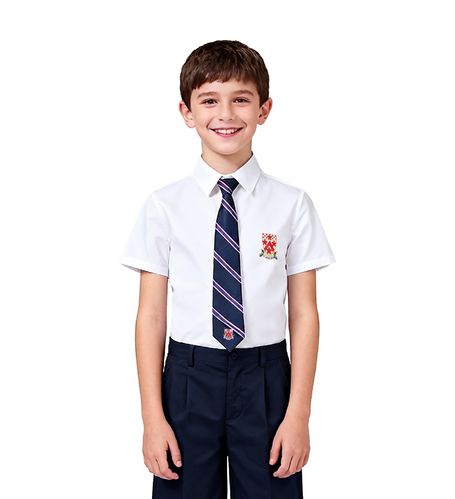 德威男短袖衬衫(薄款)