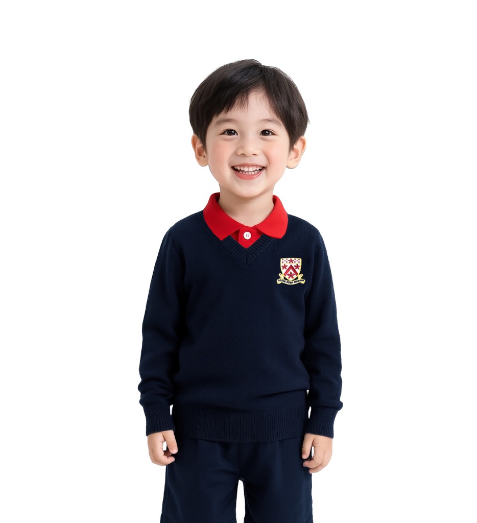 德威男式棉套头衫